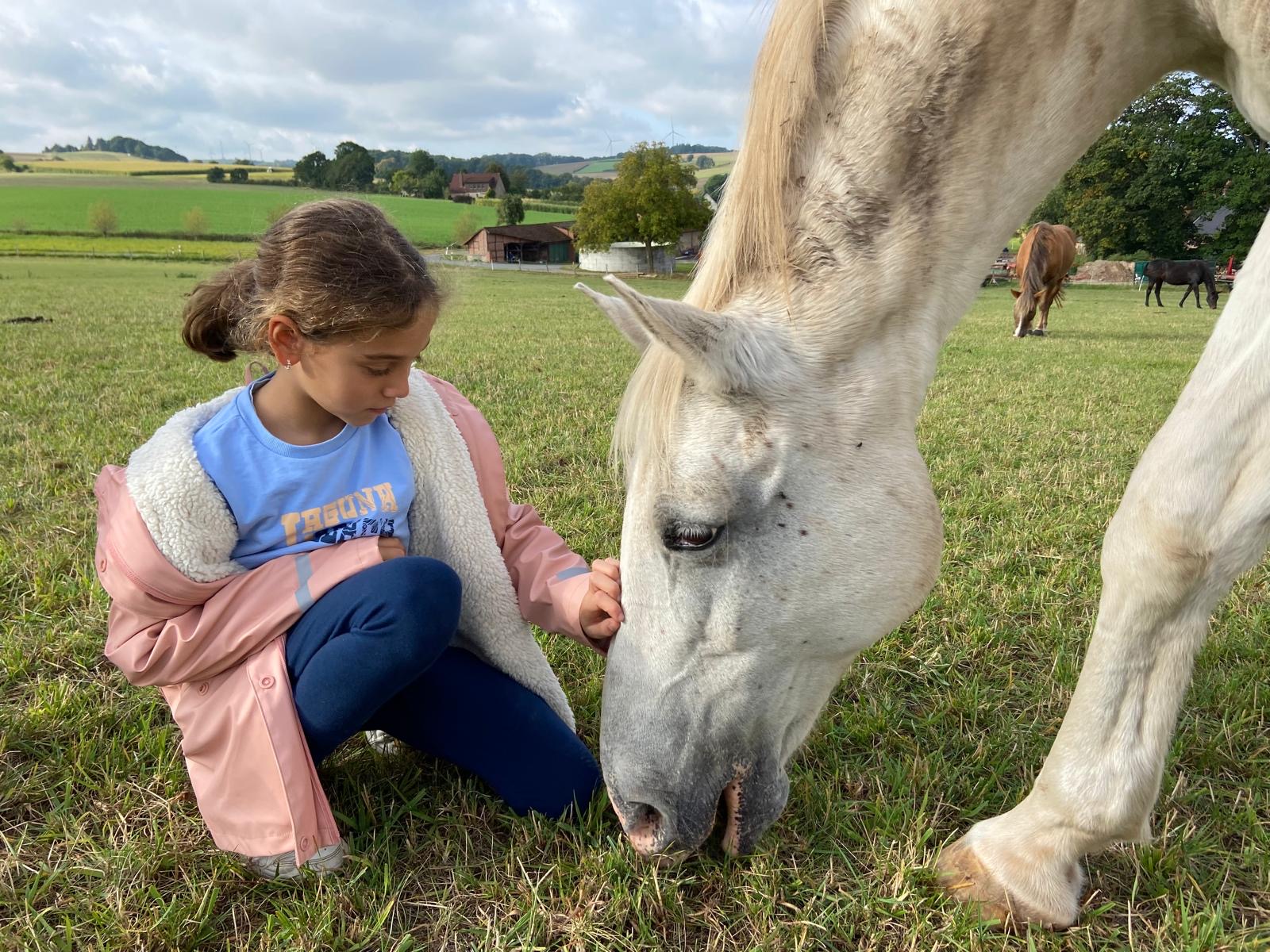 Stallduft & Löwenzahn